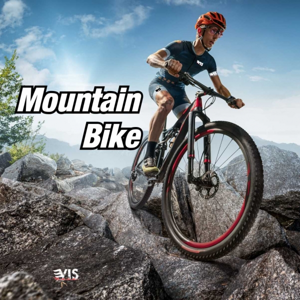 Bicicleta de montaña
